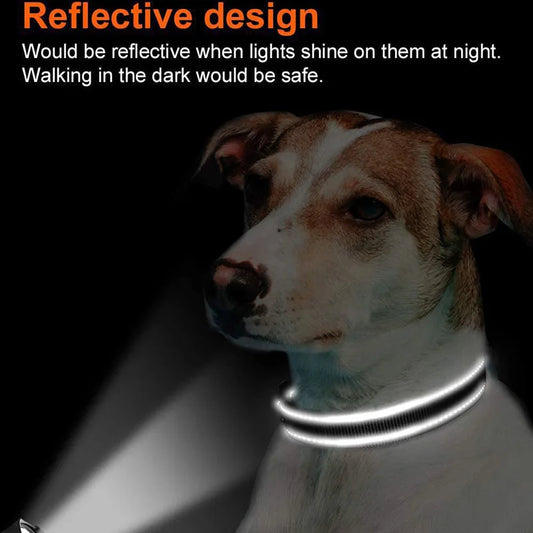 Adjustable Reflective Free Engraved Padded Dog Collars
