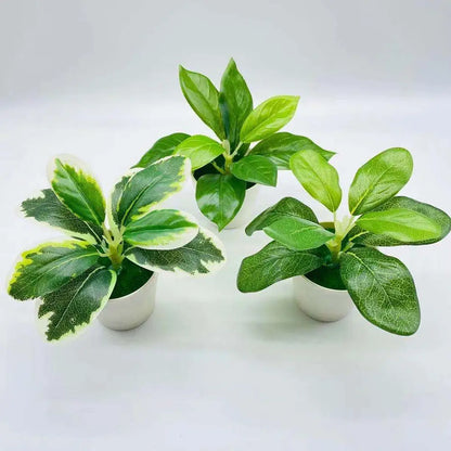 Simulation de bonsaï Scindapsus en pot de fausses plantes vertes