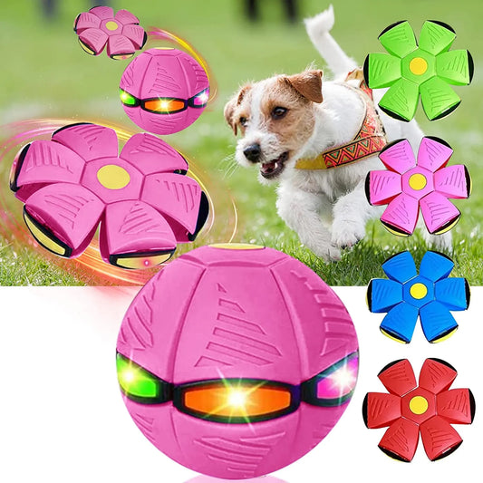 Pet Dog Magic Flying Saucer Ball - Soft Rubber Interactive Throwing Ball