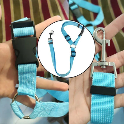 Ceinture de sécurité pour animaux de compagnie deux en un de couleur unie - Laisse en nylon Ceinture de sécurité pour siège arrière Accessoires pour animaux de compagnie 