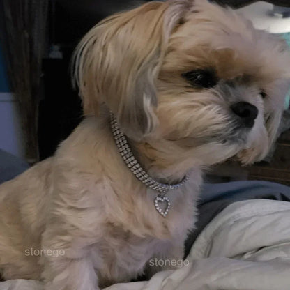 Collier ajustable pour chiot avec pendentif – Collier pour animaux de compagnie