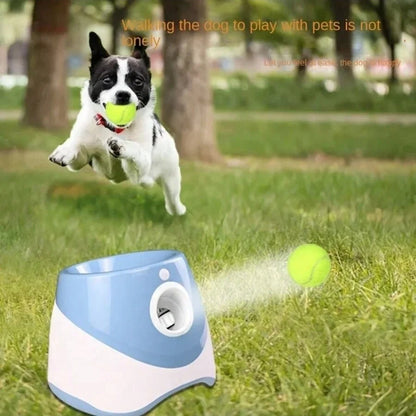 Automatic Dog Launcher for Interactive Play