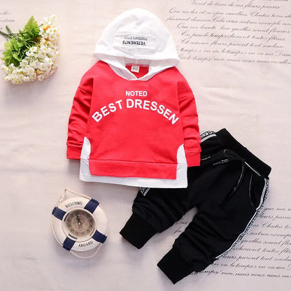 New Spring Autumn Cotton Boys Clothes - Baby Sports Hooded Tops Pants