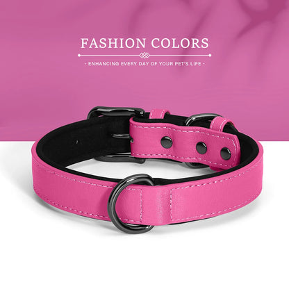 Adjustable Soft Padded Luxury Leather Dog Collar