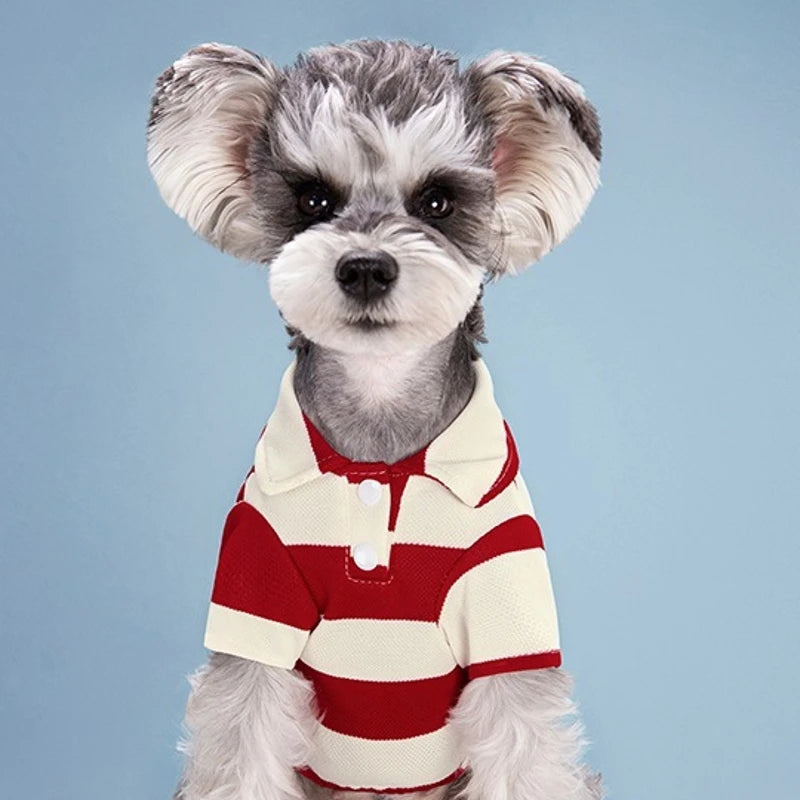 Summer Striped Short Sleeve Dog Polo Shirt