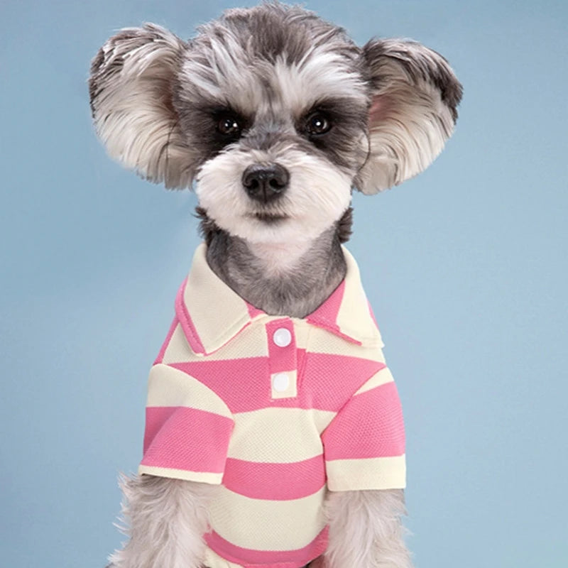 Summer Striped Short Sleeve Dog Polo Shirt
