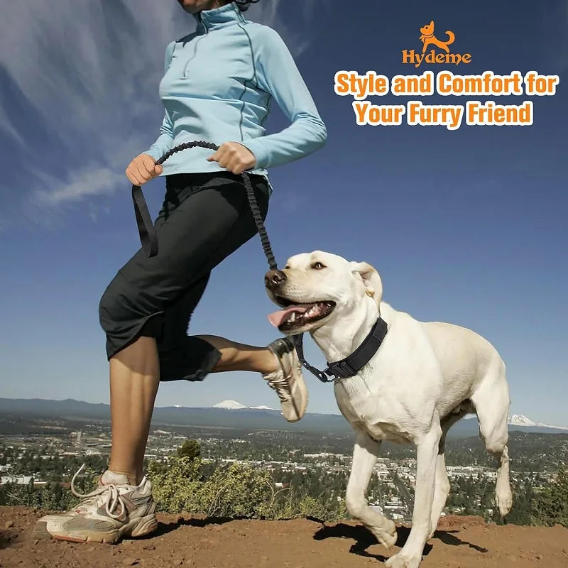 Durable Tactical Dog Collar Leash Set


