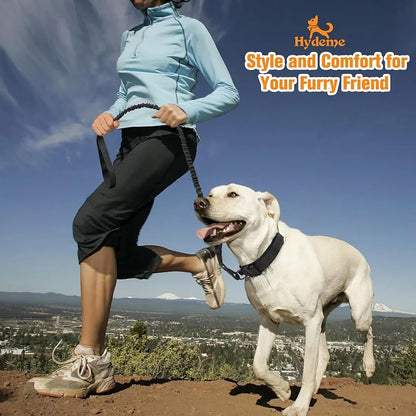 Durable Tactical Dog Collar Leash Set


