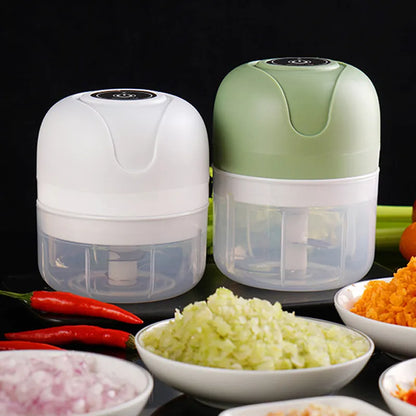 USB eletric garlic chopper


