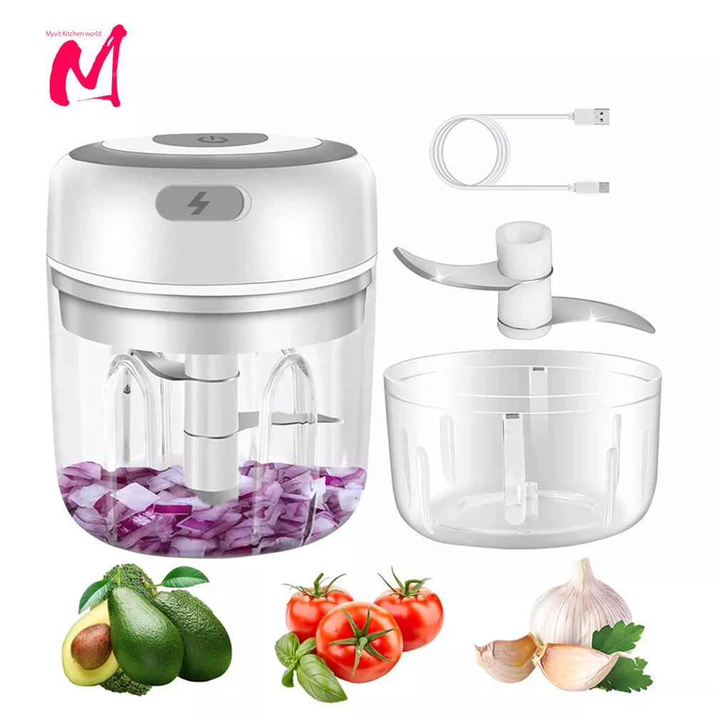USB mini food chopper


