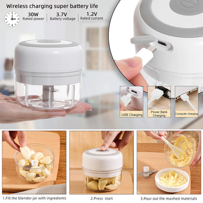 USB mini food chopper

