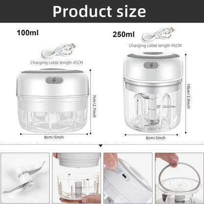 USB mini food chopper

