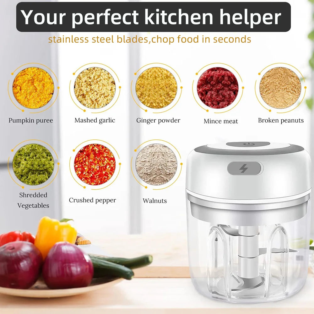 USB mini food chopper

