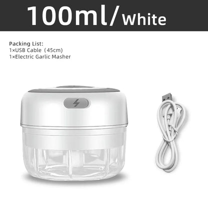 USB mini food chopper

