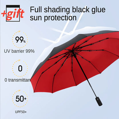 Windproof Double Layer Automatic Resistant Umbrella