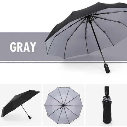 Windproof Double Layer Automatic Resistant Umbrella