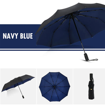 Windproof Double Layer Automatic Resistant Umbrella