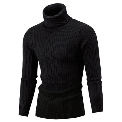 Slim Fit Turtleneck Knitted Sweater
