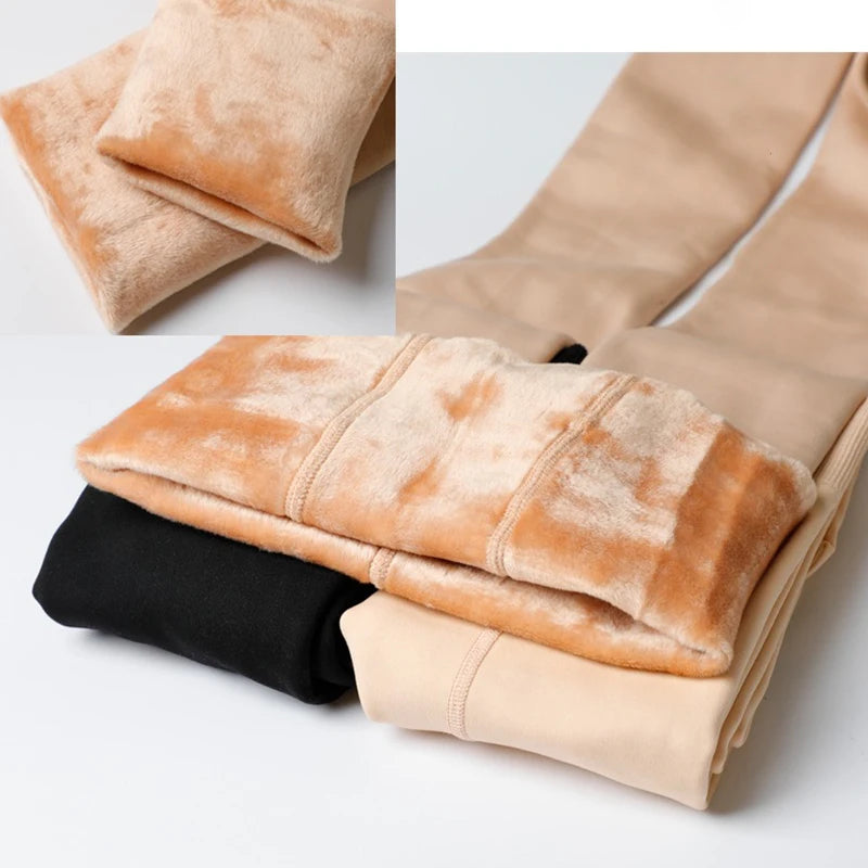 women's sheer stockings, sheer black tights, sheer leggings
